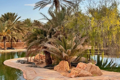 Djerba Explore: Crocodile Park & Lalla Hadria Museum Tour