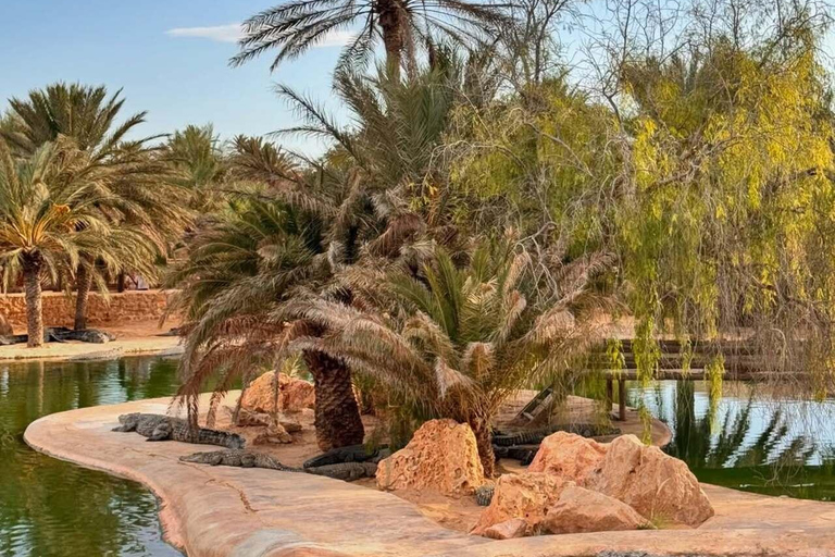 Djerba Explore: Crocodile Park & Lalla Hadria Museum Tour