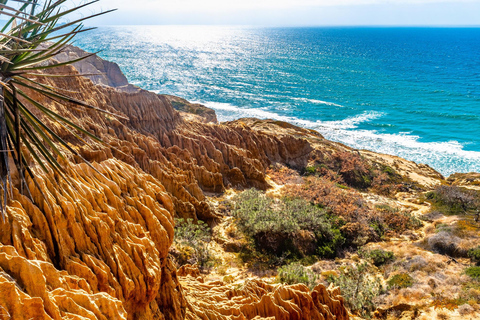 San Diego: Praias e Penhascos Tour guiado por você mesmo