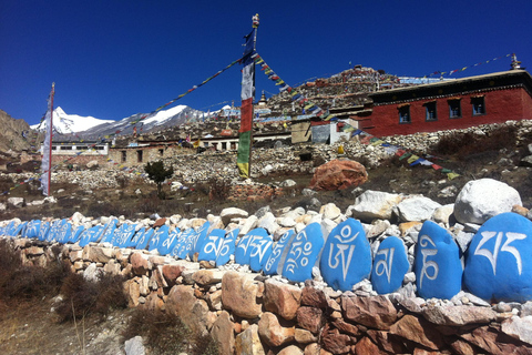 Trekking no vale de Nar Phu - 12 dias