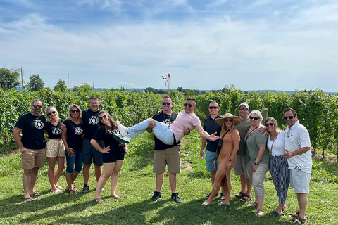 Lunch in the Vineyard: A Scenic Niagara Wine Tour Experience