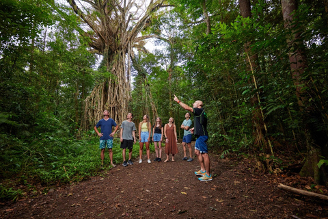 De Cairns: Atherton Tablelands Eco-Adventure &amp; Swim Tour