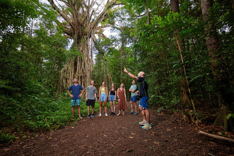 From Cairns: Atherton Tablelands Eco-Adventure & Swim Tour