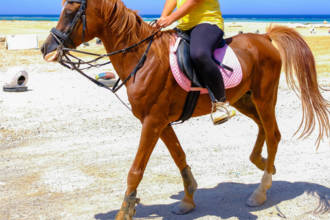 Marsa Alam: Stargazing on the Beach with 4-Ride Safari