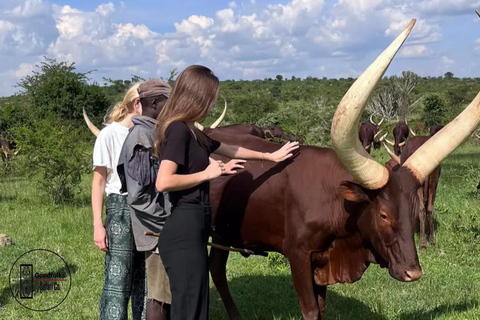 ZIWA RHINO-TREK - Rugzak EDITIE | 2-Daagse Wayfarer