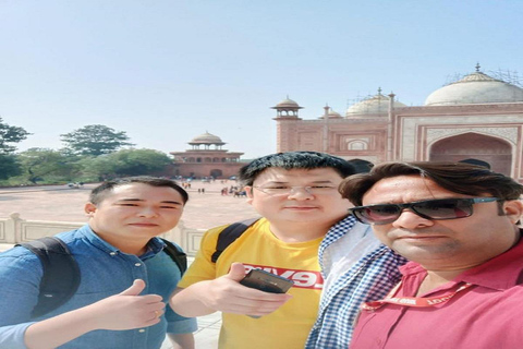 Desde Delhi : Excursión guiada de un día al Taj Mahal y al Fuerte de AgraExcursión sólo con coche y guía