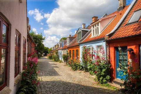 Halbtagestour Private Tour durch Aarhus wie ein Einheimischer