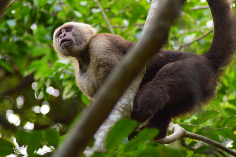 Santa Marta: Full Tour to Tayrona Park with a Swim in Cabo San Juan