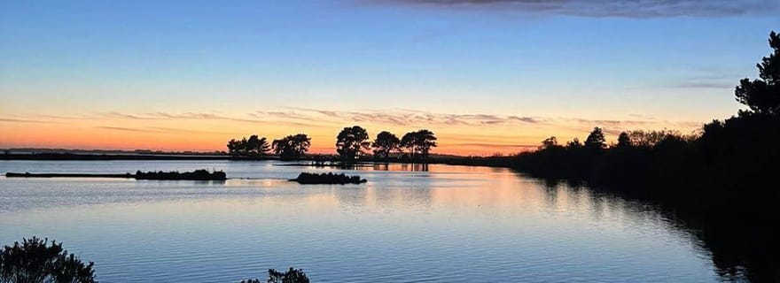 Sanctuaire de la vie sauvage d'Arcata : Une promenade le long de la baie d'Arcata