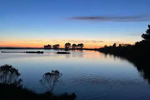 Arcata Wildlife Sanctuary: A Wildlife Walk Along Arcata Bay