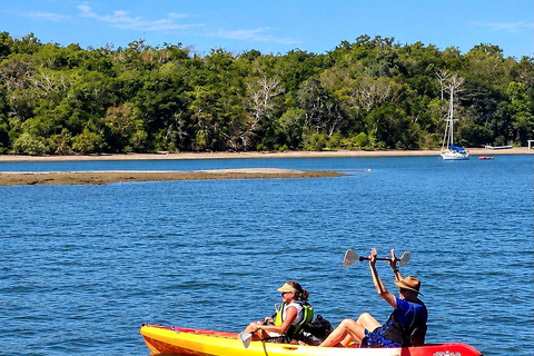 Boca Chica: Guided Kayak Tour with Lunch