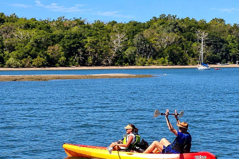 Boca Chica: Guided Kayak Tour with Lunch