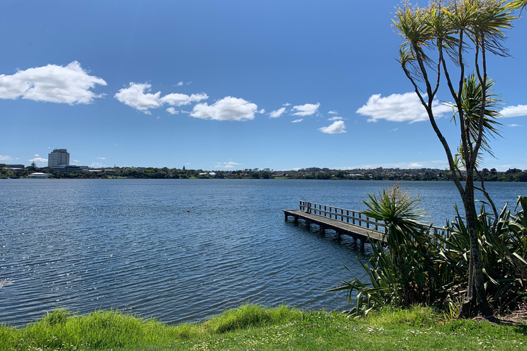 Auckland Volcanoes Full-Day Small Group Tour