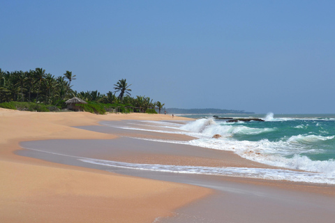 Sri Lanka: 10-Days Beachside Honeymoon TourBeachside Honeymoon