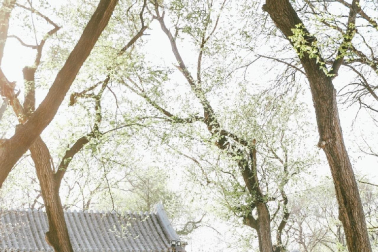 Beijing: Prince Kung's Mansion Pass & Hutong Digital Map