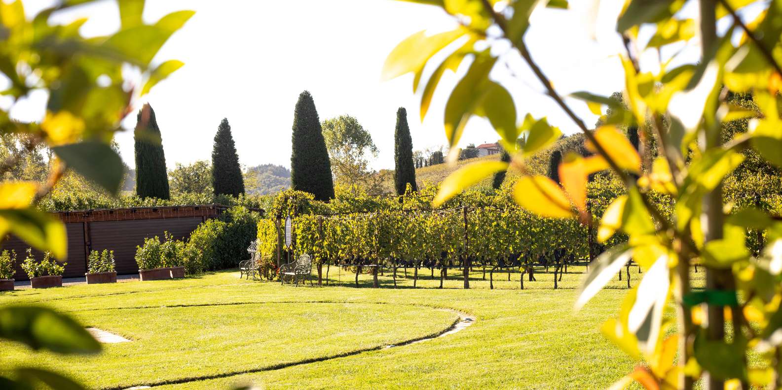 From Florence: Chianti Half-Day Wine Tour with Tasting