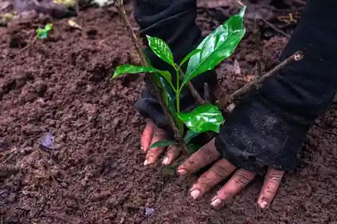 Kathmandu: Hike JamaChwok & Tree Planting for carbon neutral