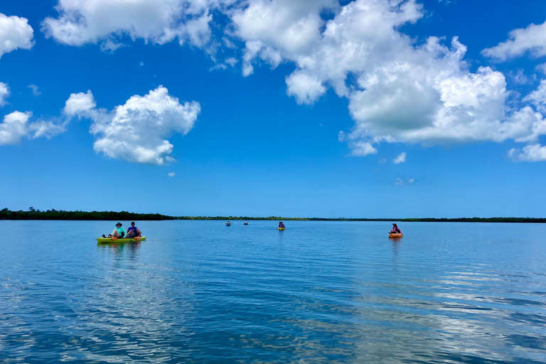 From Naples, FL: Marco Island Mangroves Kayak or Paddle Tour Easy Ride Pedal Kayak Tour