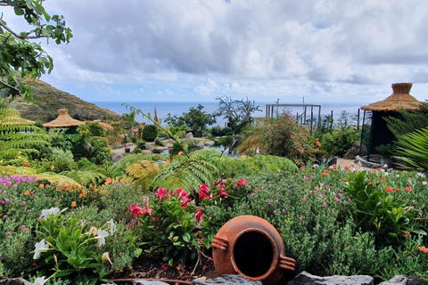 Visit to Madeira Bird Island