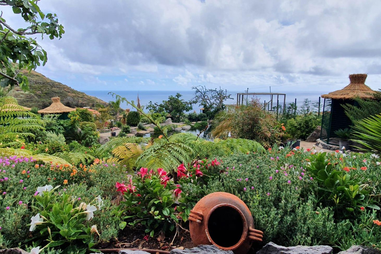 Visit to Madeira Bird Island