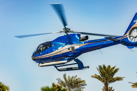 Dubaï : vol touristique en hélicoptère depuis The PalmVol de 12 min en groupe