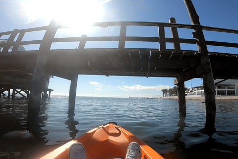 Swakopmund: Walvis Bay Lagoon Kayaking Adventure From Walvis Bay: Lagoon Kayaking Adventure