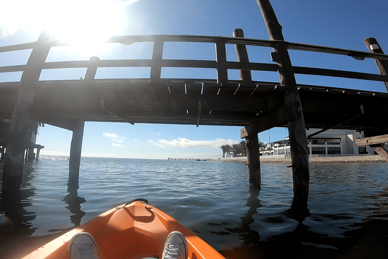 Swakopmund: Walvis Bay Lagoon Kayaking Adventure From Walvis Bay: Lagoon Kayaking Adventure