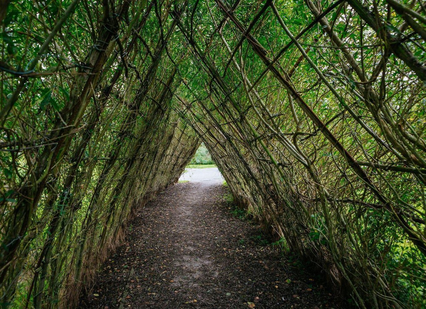 Moate: Adgangsbillet til Dún na Sí Amenity & Heritage Park