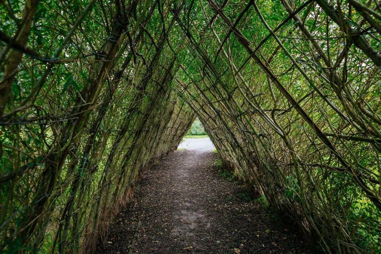 Moate: Dún na Sí Amenity & Heritage Park Admission Ticket