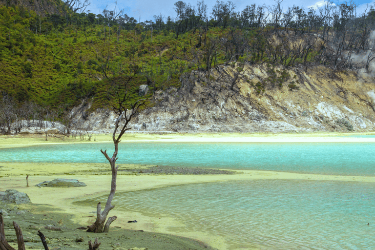 Jakarta : Circuit des lacs du cratère blanc volcanique et des plantations de thé