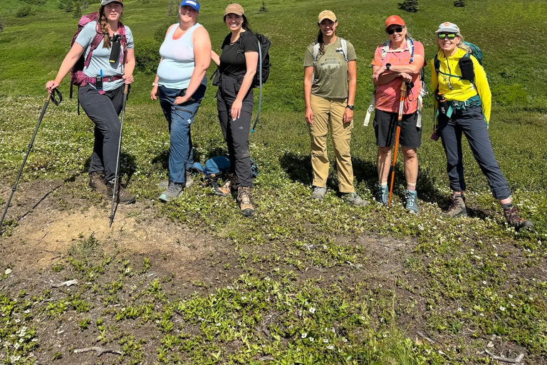 Palmer Hidden Waterfalls Guided Backcountry Hike