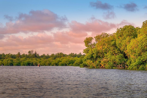 从内罗毕出发：新月岛Safari体验