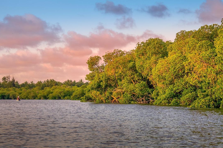 Vanuit Nairobi: Crescent Island Safari ExperienceVanuit Nairobi: Crescent Island Safari-ervaring