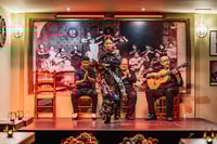 Sevilla, espectáculo de flamenco con cena andaluza en La Cantaora - Housity