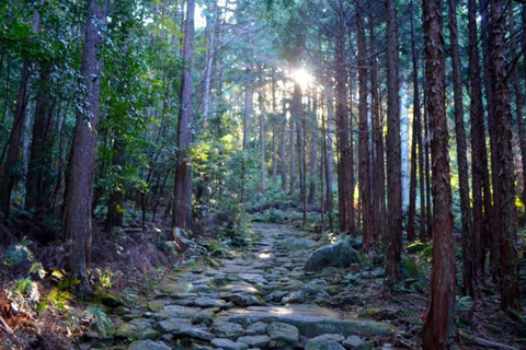 Nagoya: Ceramic Coast & Forgotten Islands Tour