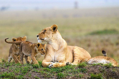 3 Days Tsavo East National Park safari from Nairobi 3 Days Tsavo East National Park