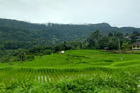 Yogyakarta: Selogriyo, Kedung Kayang & Merapi Sunset Tour SHARED TOUR: Hidden Rice Terraces & Volcano Sunset