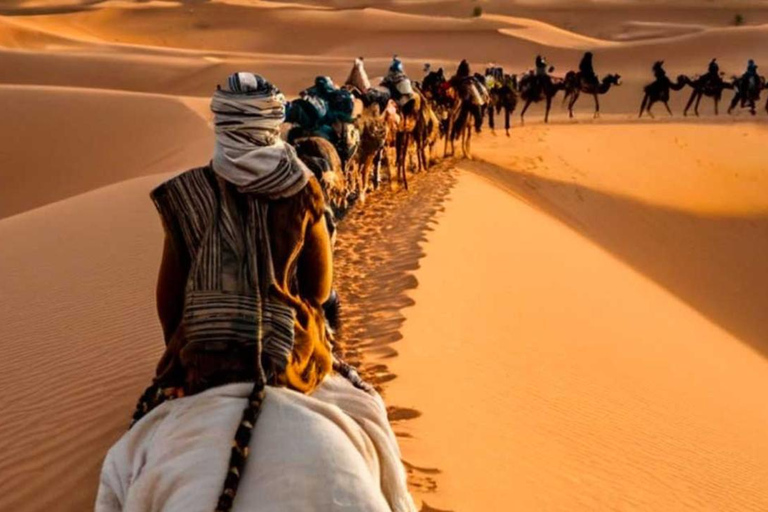 Au départ de Fès : excursion de 2 jours dans le désert de Merzouga avec tente de luxe et dîner