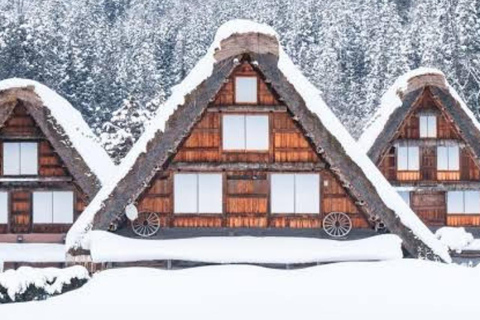 Tokyo: Hida Takayama & Shirakawa-go Day Trip with Guide