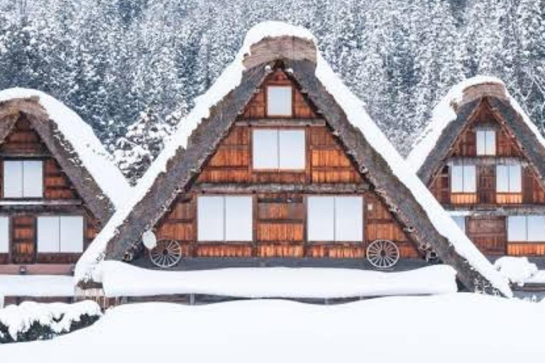 Tokyo: Hida Takayama & Shirakawa-go Day Trip with Guide