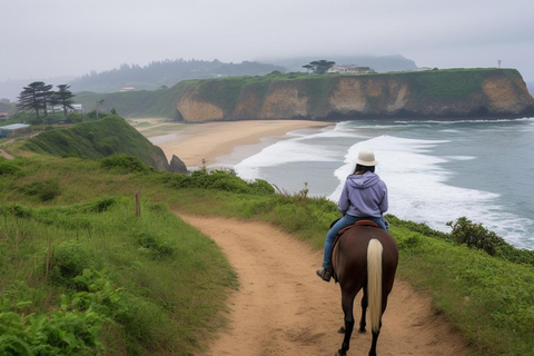 Saint John: Coastal Countryside Horseback Adventure