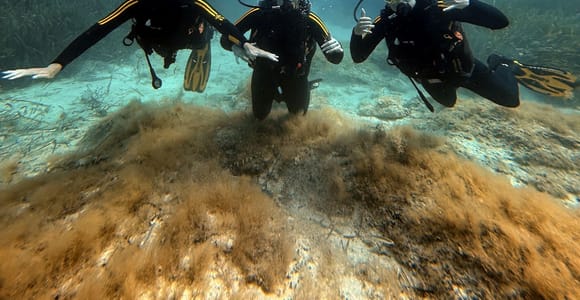 Malte: Baptême de plongée sous-marine - 2 plongées exploration - Débutant