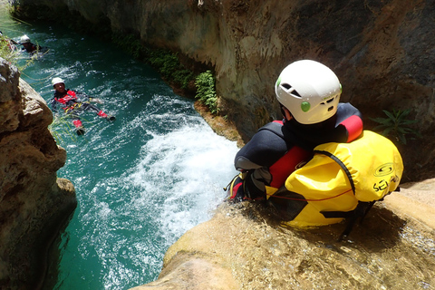 Granada & Malaga: Río Verde Canyon, Turquoise Water Jumps Private Tour