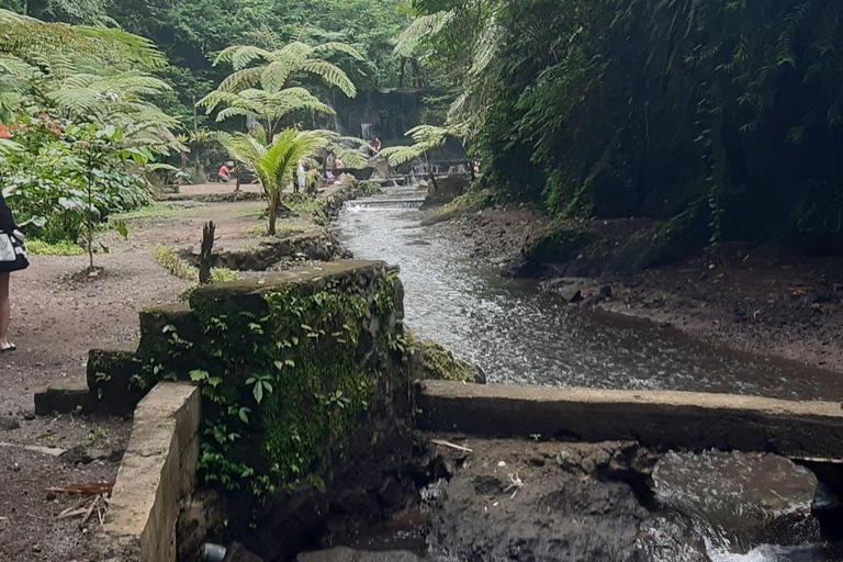 Bali: Penglipuran Village, Waterfall, and Night Market Tour