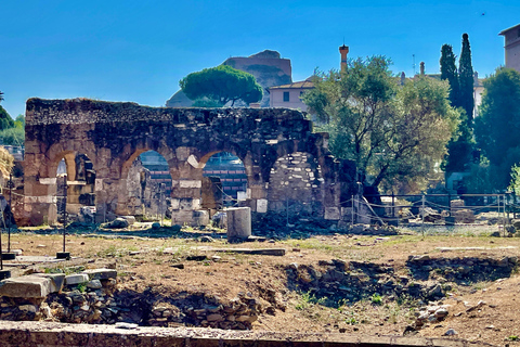 Rome: LATE BOOKING Colosseum, Forum & Palatine Entry passes Rome: Last Minute Colosseum, Roman Forum, Palatine Hill Tour