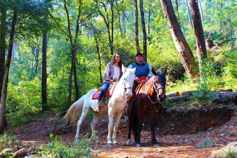 Valle de Bravo: tour a cavallo della cascata