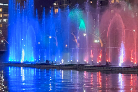 Osaka: Private Night Cruise Through the City of Water