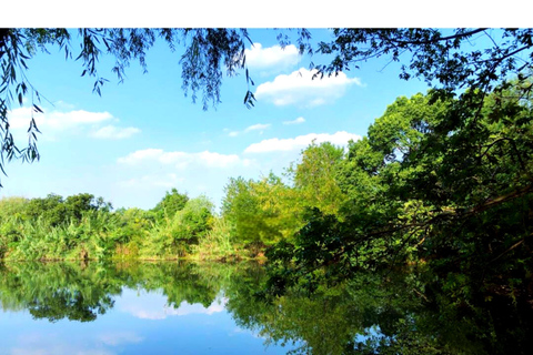 Hangzhou: Xixi Wetland National Park Eco-Tour & Boat Ride