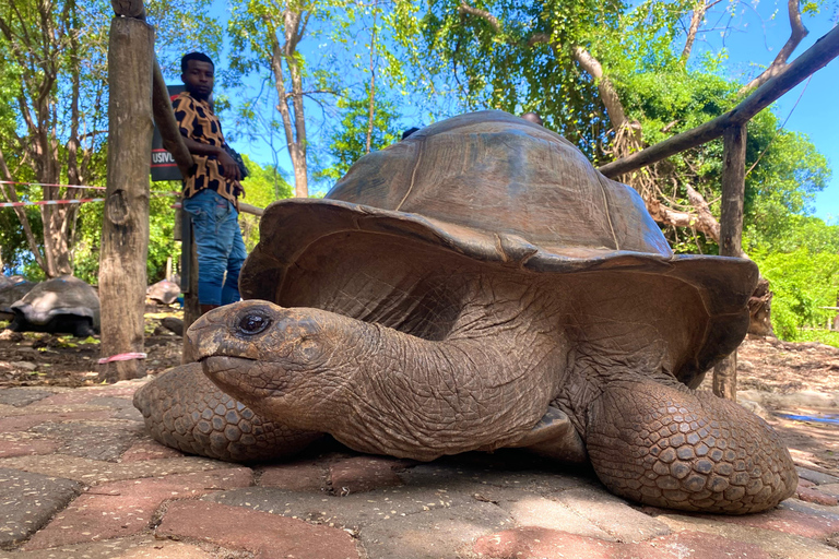 Zanzibar: Nakupenda Sandbank & Prison con Pranzo Incluso Honeymoon & Wedding Anniversary