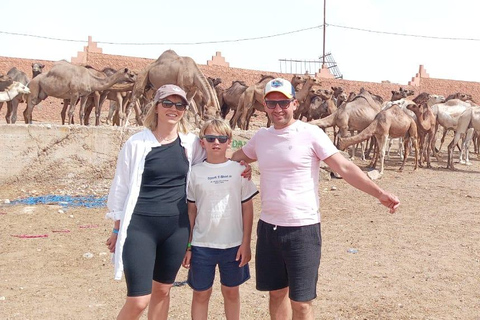 2-day tour: El Borj desert, Legzira, and Sidi Ifni from Agadir